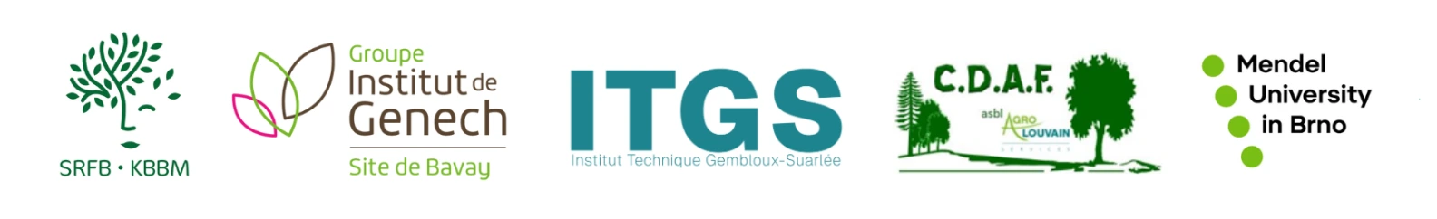 ITGS logo